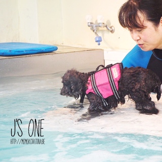 �o�����X��