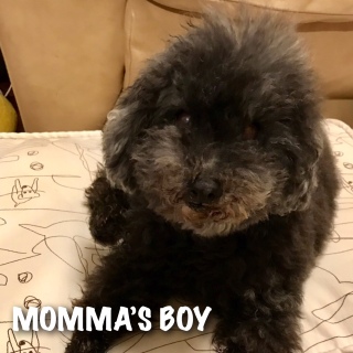 �����l