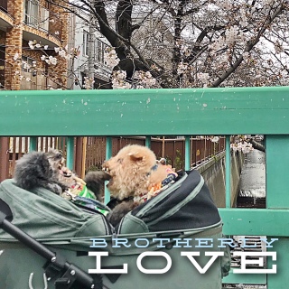 �Z�팖��
