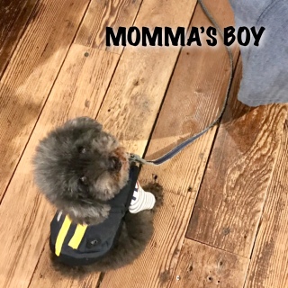 ���@���f��