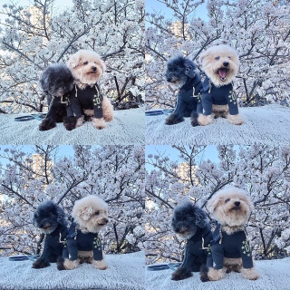 ���C�ɓ���ꏊ
