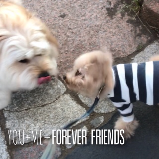 �{�[�������