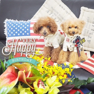 �D�E�F�������