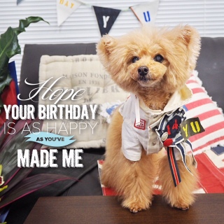 �i���̃v�����X