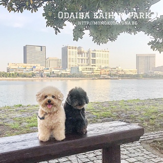 �����