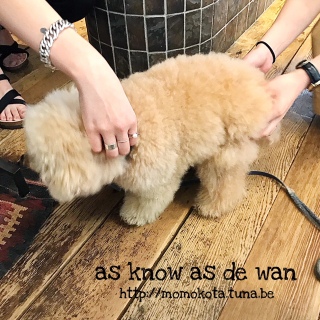 c[}