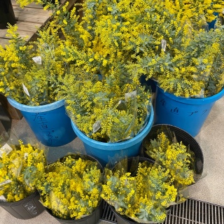 ~U