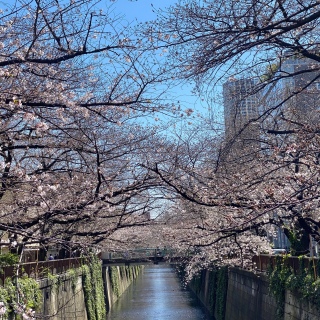 3/24_ڍ̍