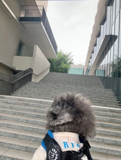 ppU