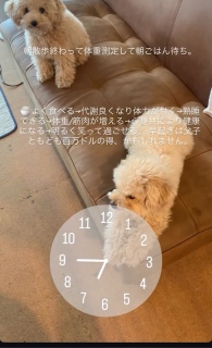 7/20