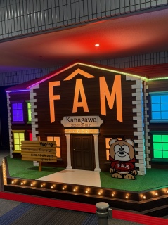 FAMnEX