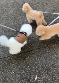 \̉q1