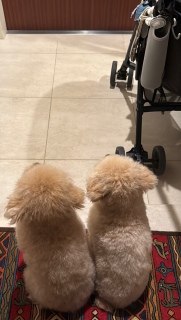 9/7