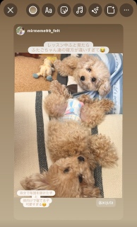 搶̃CXg