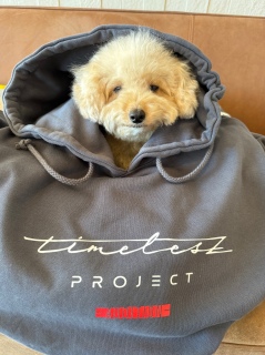 �����������Ă��܂�